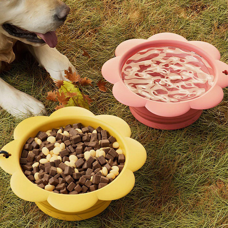 Outdoor Pet Feeding Cup 2-in-1 – Foldable Backpack Small recenzja i cena